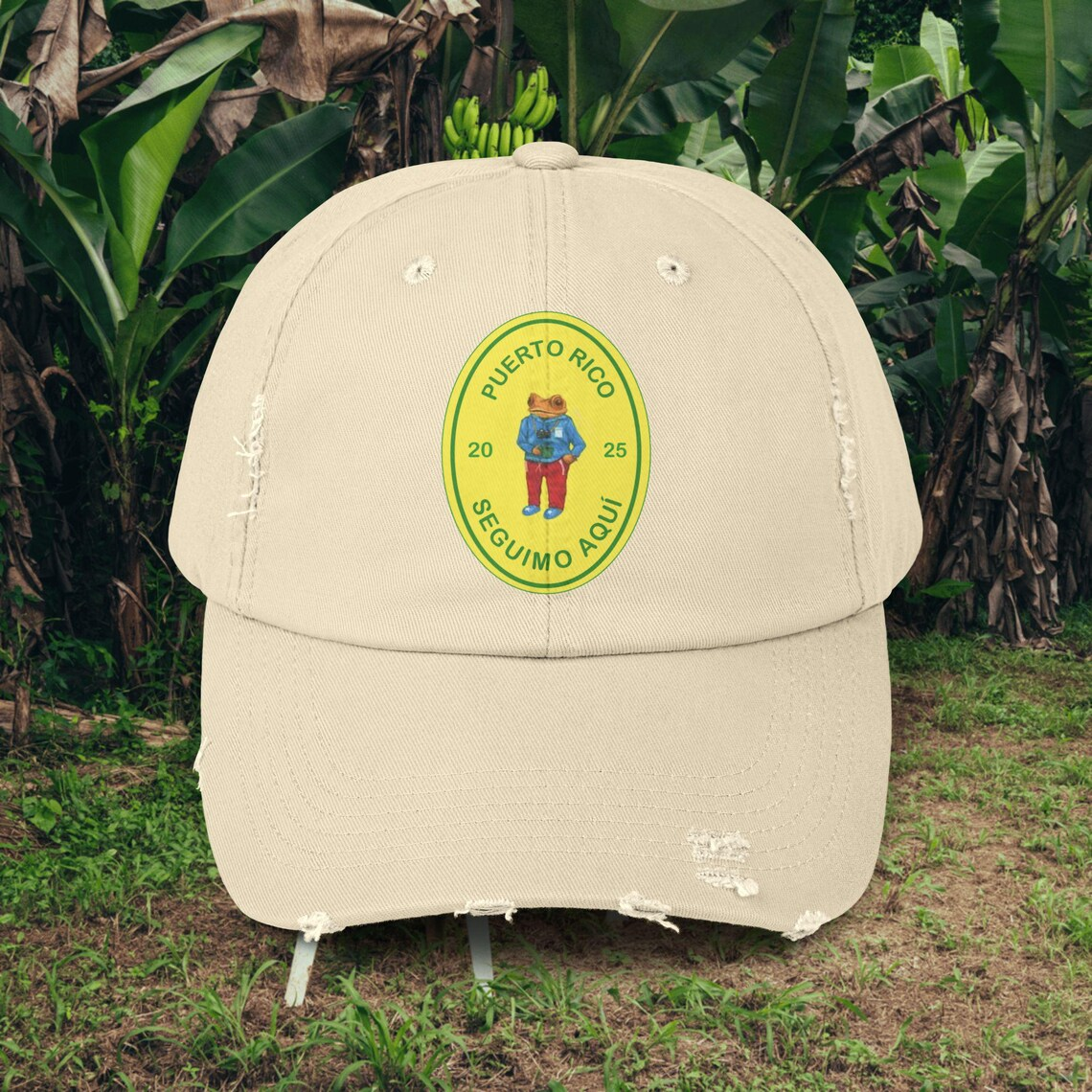 Gorra de béisbol unisex con estampado de CD "Todos Los" de Bad Bunny DTMF