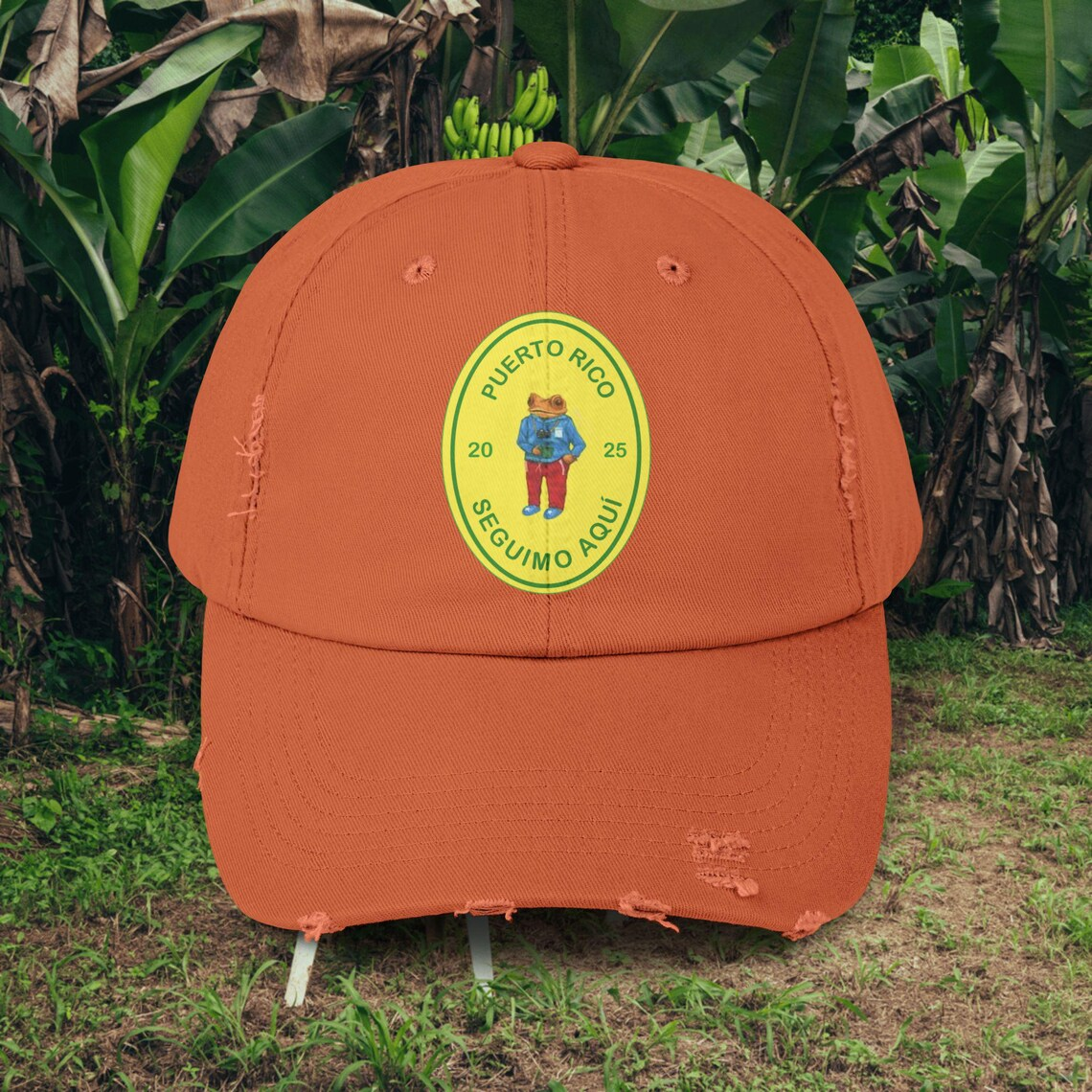 Gorra de béisbol unisex con estampado de CD "Todos Los" de Bad Bunny DTMF