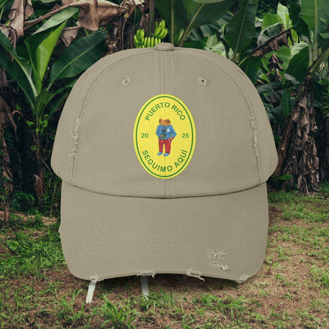 Gorra de béisbol unisex con estampado de CD "Todos Los" de Bad Bunny DTMF