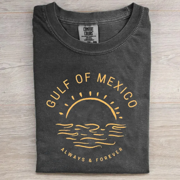 Vintage Gulf of Mexico T-shirt/Sweatshirt