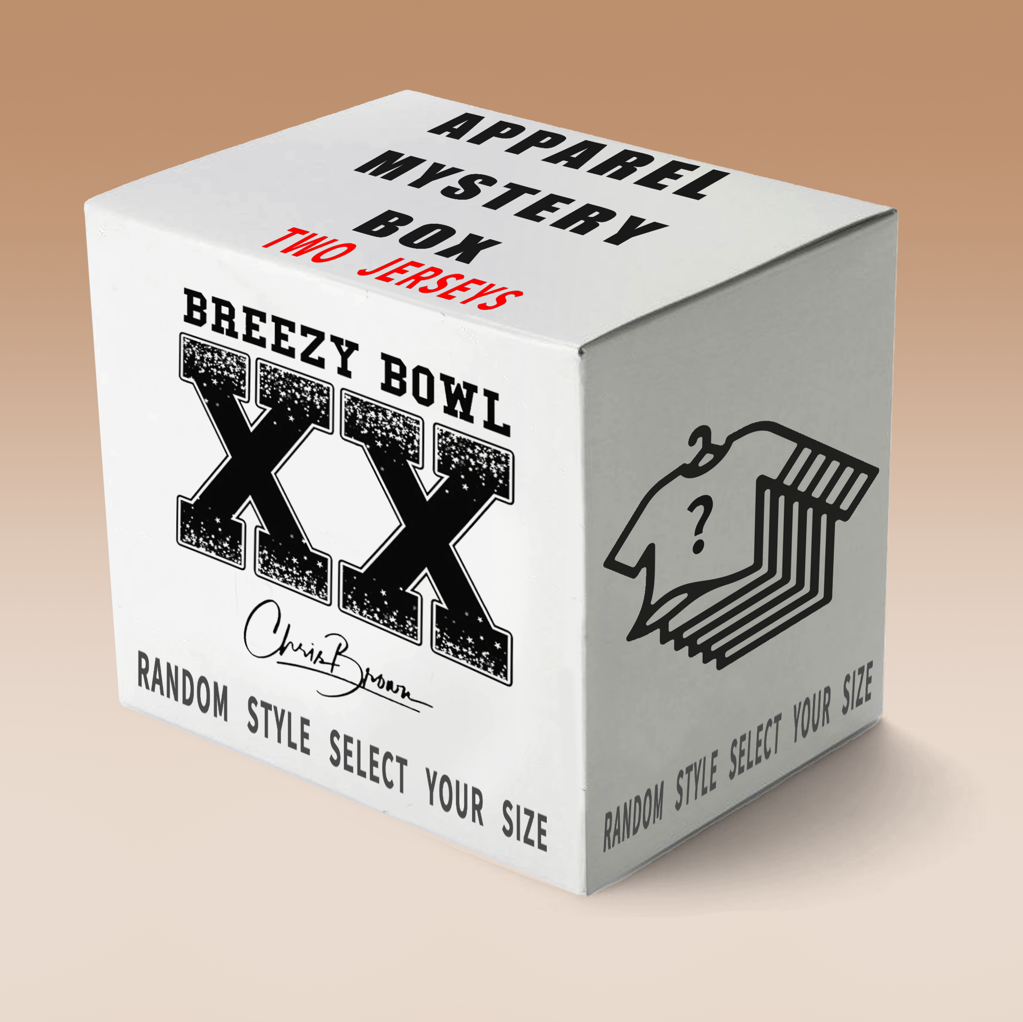 Chris Brown Baseball Jacket Mystery Box