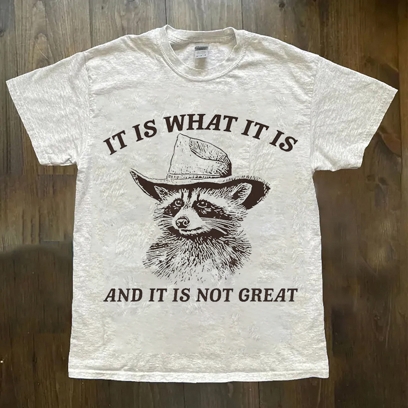 Funny Raccoon It Is What It Is And It Is Not Great T-shirt