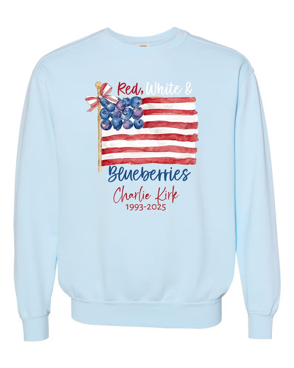 Red White & Blueberries Coquette Flag Printed Long Sleeve Casual Top